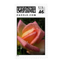 Fresh Rain Drops postage