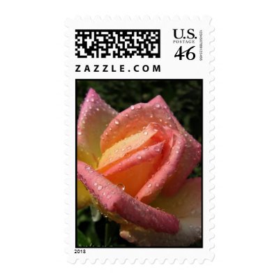 Fresh Rain Drops Postage Stamps by beverlytazangel