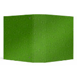 Fresh Raindrops in Green