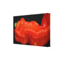 Fresh Red Bell Pepper wrappedcanvas