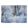 Fresh snowfall in the trees below Bridalveil