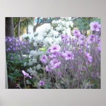 Fresh Spring Flowers Poster