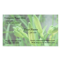 fresh spring lily buds business card template