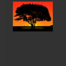 Fresh Start t-shirts