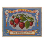 Fresh Strawberries Post Card