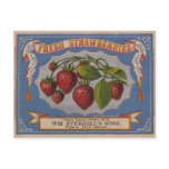 Fresh Strawberries Post Card