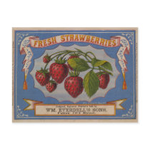 Fresh Strawberries postcards