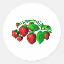 Fresh Strawberries Round Stickers