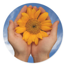 fresh, sunny, earthy sunflower image stickers by HeideHibbard fresh, sunny, earthy sunflower image stickers