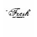 Ladies Baby Doll (Fitted)