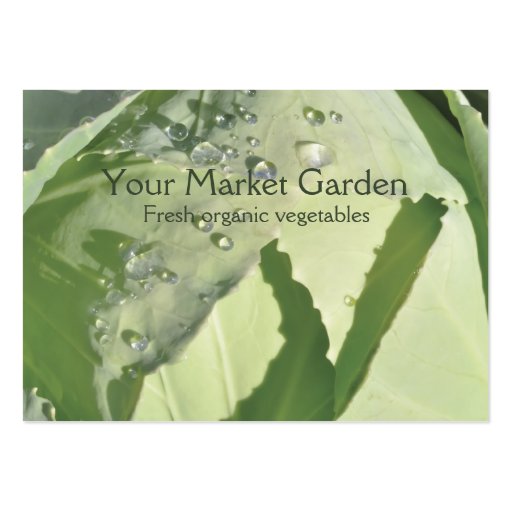 Fresh vegetable business card