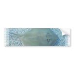 Fresh Water Stingray Bumper Sticker