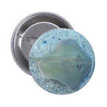 Fresh Water Stingray Button