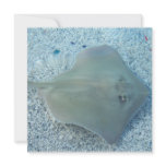 Fresh Water Stingray Invitations