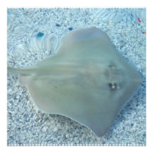 Fresh Water Stingray Invitations