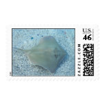 Fresh Water Stingray Postage Stamp