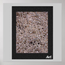 FRESH WATERPEARLS BY AES POSTER