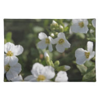 Fresh white summer garden flowers and green leaves place mat