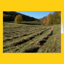 Freshly Mown Fields cards