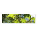 freshness bumper stickers by Elfain freshness bumper stickers