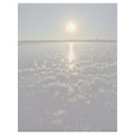 Freshwater and Frost Flowers, Manitoba Pink flower Customized Letterhead