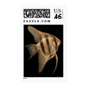 Freshwater Angelfish Postage postage by twopurringcats Freshwater Angelfish Postage postage