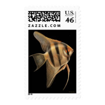 Freshwater Angelfish Postage postage by twopurringcats Freshwater Angelfish Postage postage