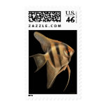 Freshwater Angelfish Postage postage