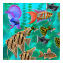 Freshwater Aquarium Fish Poster posters