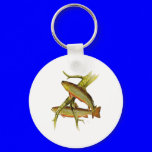 FreshWater Collection by FishTs.com
