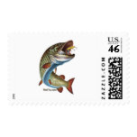 FreshWater Collection by FishTs.com