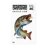 FreshWater Collection by FishTs.com