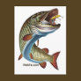 FreshWater Collection by FishTs.com