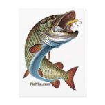 FreshWater Collection by FishTs.com