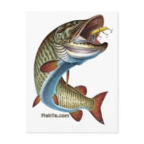 FreshWater Collection by FishTs.com postcards