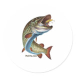 FreshWater Collection by FishTs.com