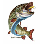 FreshWater Collection by FishTs.com