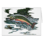 FreshWater Series by FishTs.com