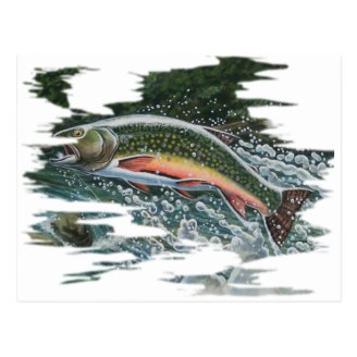 FreshWater Series by FishTs.com Post Cards