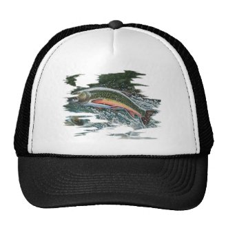 FreshWater Series by FishTs.com Trucker Hat