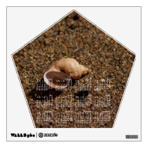 Freshwater Snail Shell; 2013 Calendar Wall Skin