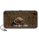 Freshwater Snail Shell; Customizable Mp3 Speakers