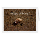 Freshwater Snail Shell; Happy Birthday Greeting Card