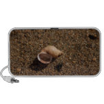 Freshwater Snail Shell; No Text Notebook Speakers