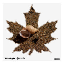 Freshwater Snail Shell; No Text Room Decal