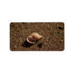 Freshwater Snail Shell Personalized Address Labels