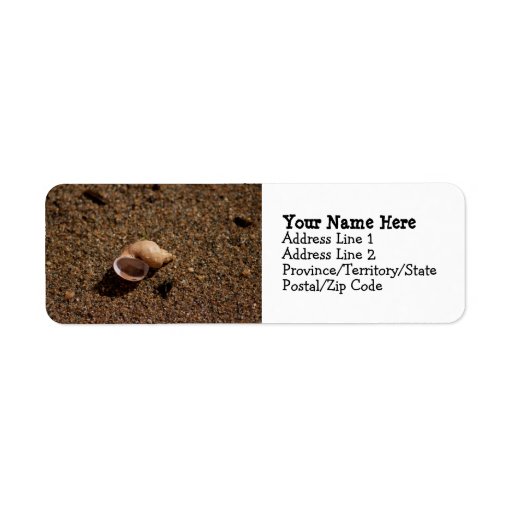 Freshwater Snail Shell Return Address Labels
