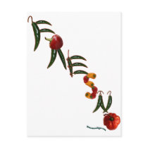 Fresno Chili Peppers postcards by chili_state Fresno Chili Peppers postcards