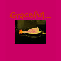 Frickin' Chicken T t-shirts by GracefulChicken Frickin' Chicken T t-shirts