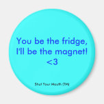 Fridge and Magnet